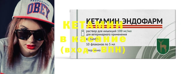 прущие грибы Медногорск
