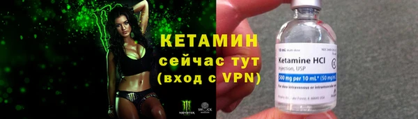 прущие грибы Медногорск