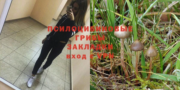 твердый Абинск