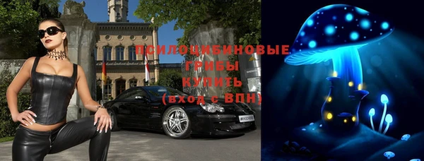 прущая мука Абаза